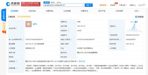 愛奇藝在重慶成立科技公司，拓展創(chuàng)業(yè)空間與信息系統(tǒng)集成服務(wù)